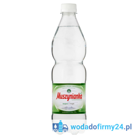 Muszynianka 0,6L gazowana – hurtowa dostawa do firm i lokali
