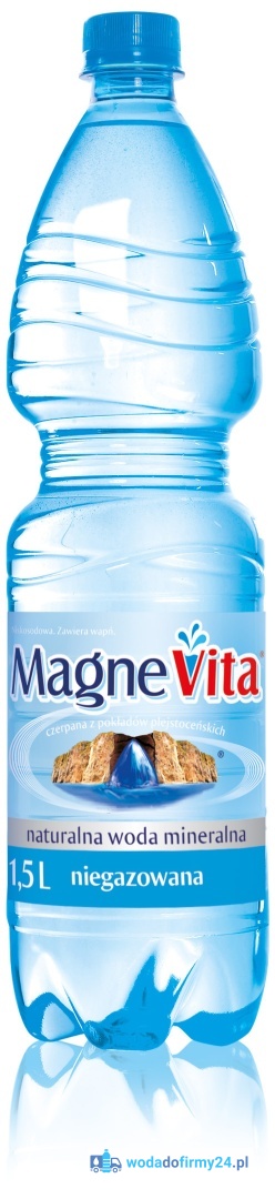 Woda MagneVita 1,5L MIX Gazowana / Niegazowana – Paleta wody 504 szt.